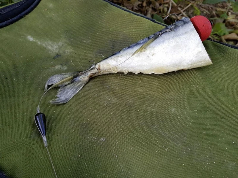 Quantum Mr. Pike Bait Pop Up Kit Red (3-pack) – Image 3