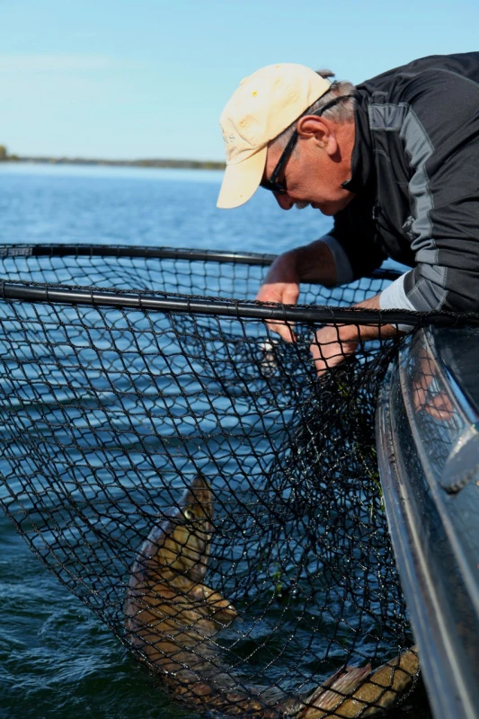 Drifter Tackle Predator Net 48 Black Handle – Image 4