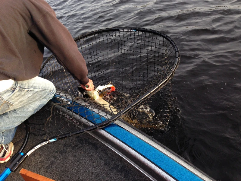 Drifter Tackle Predator Net 48 Black Handle – Image 6